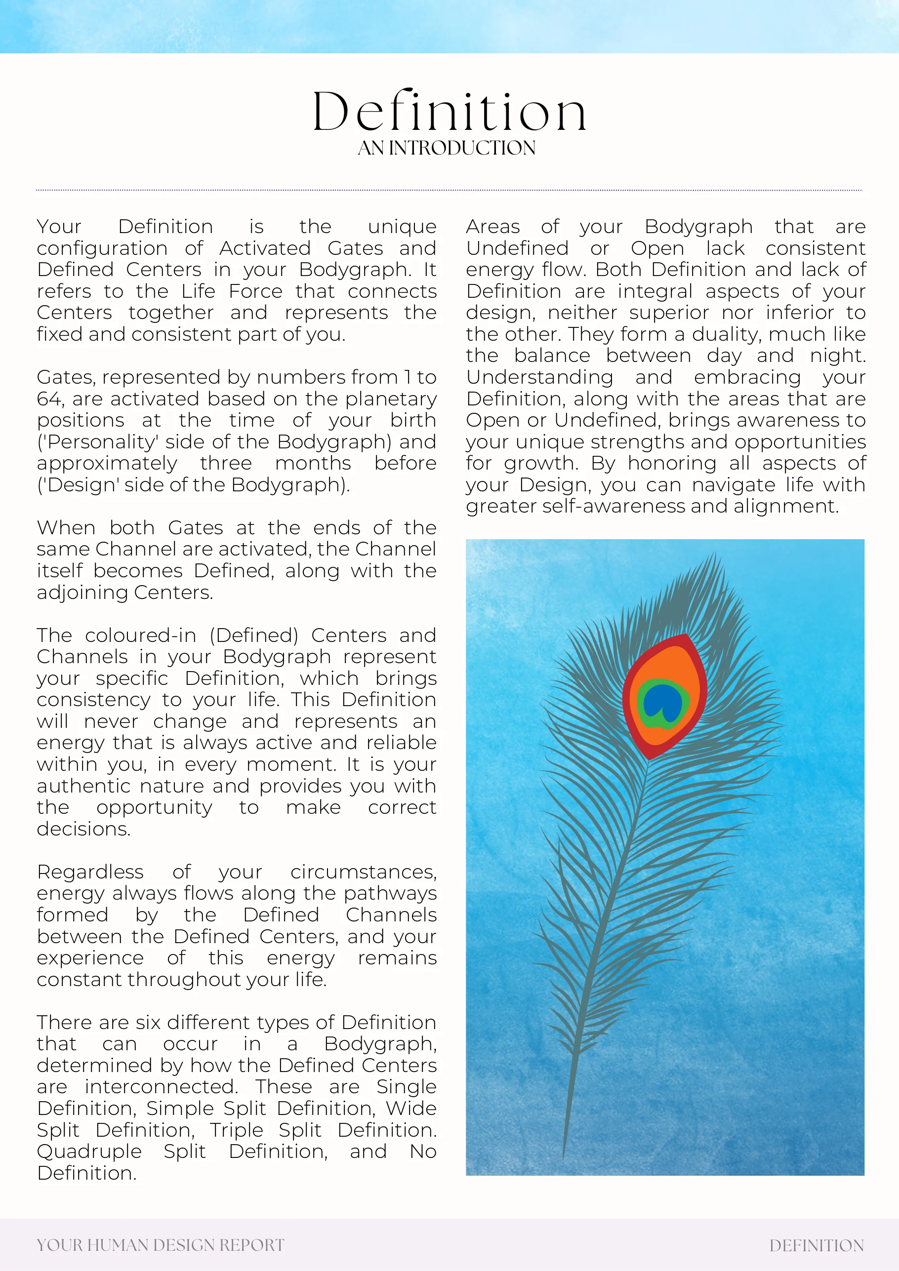 Example report page 52