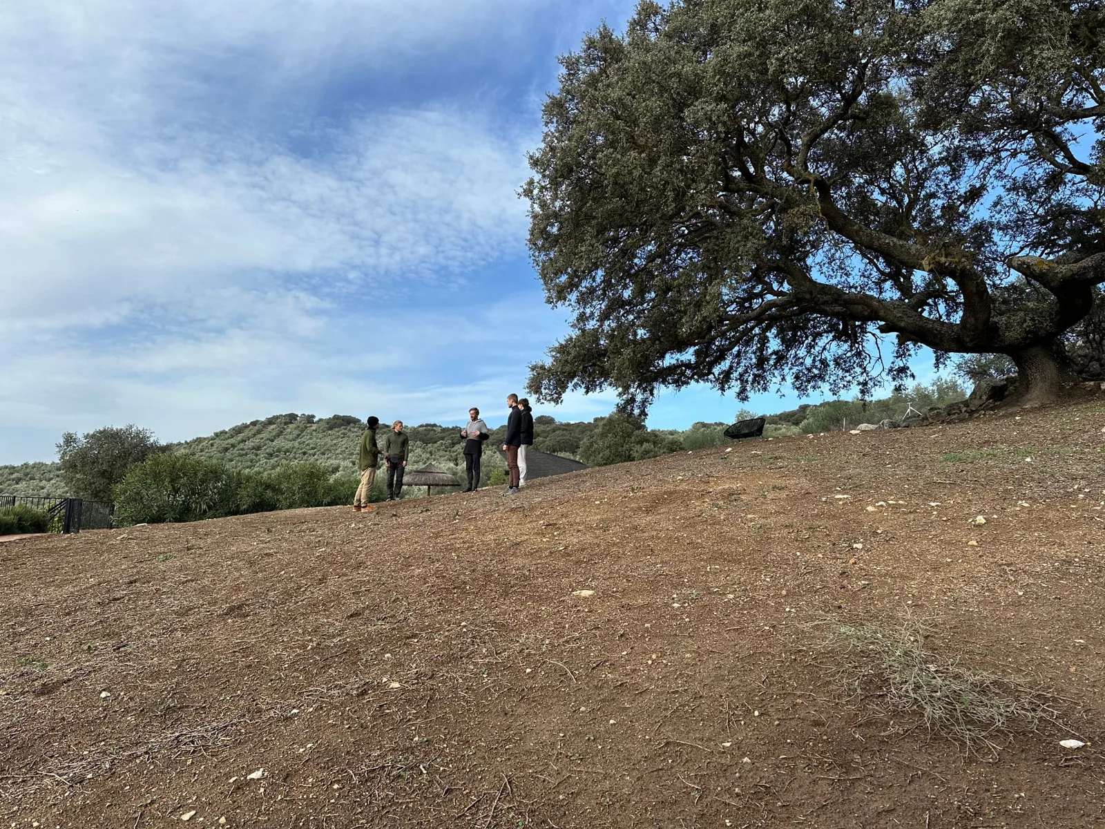 A small group standing beneath a spreading oak tree