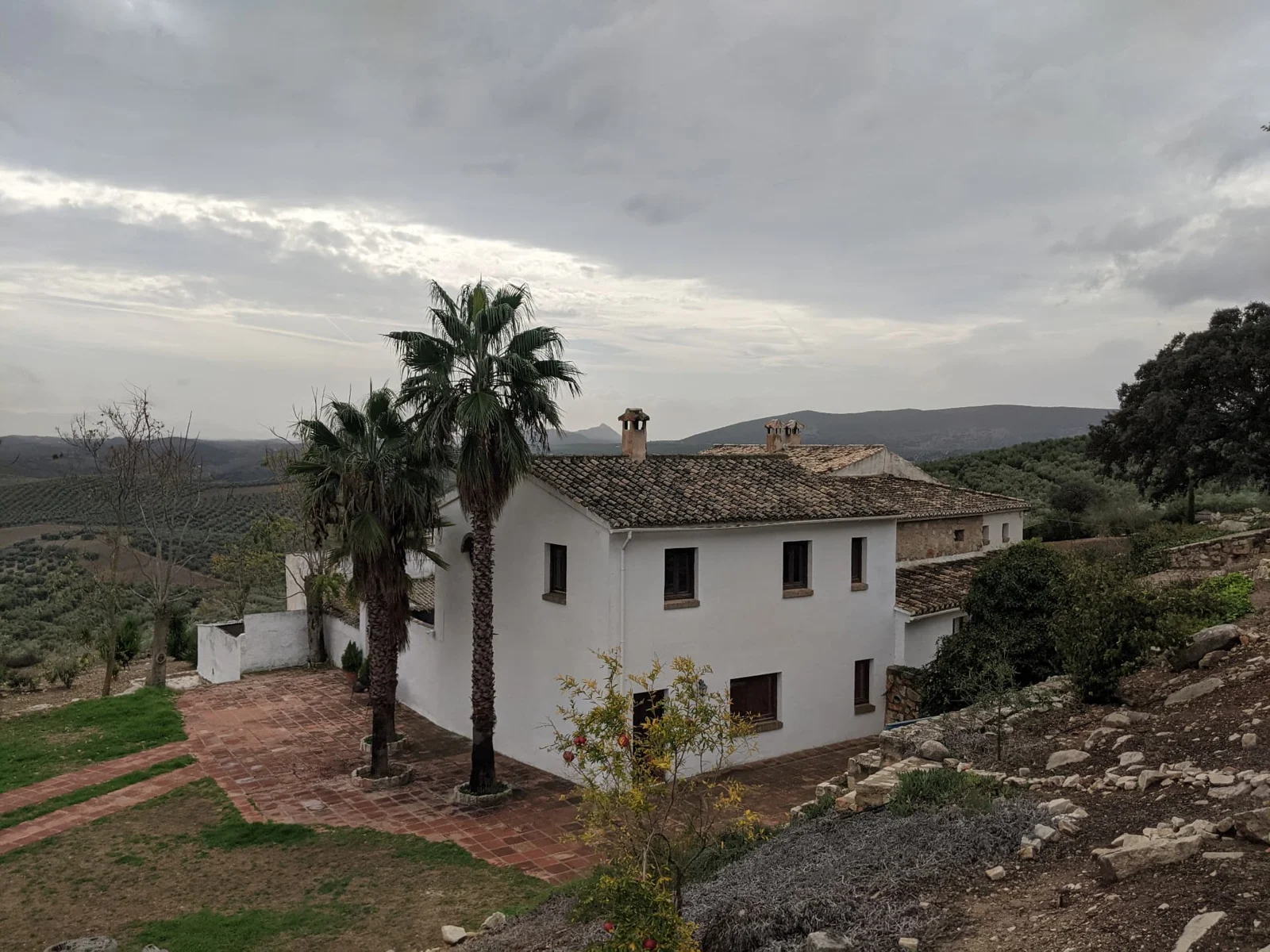 White country house with palm trees overlooking the olive groves
