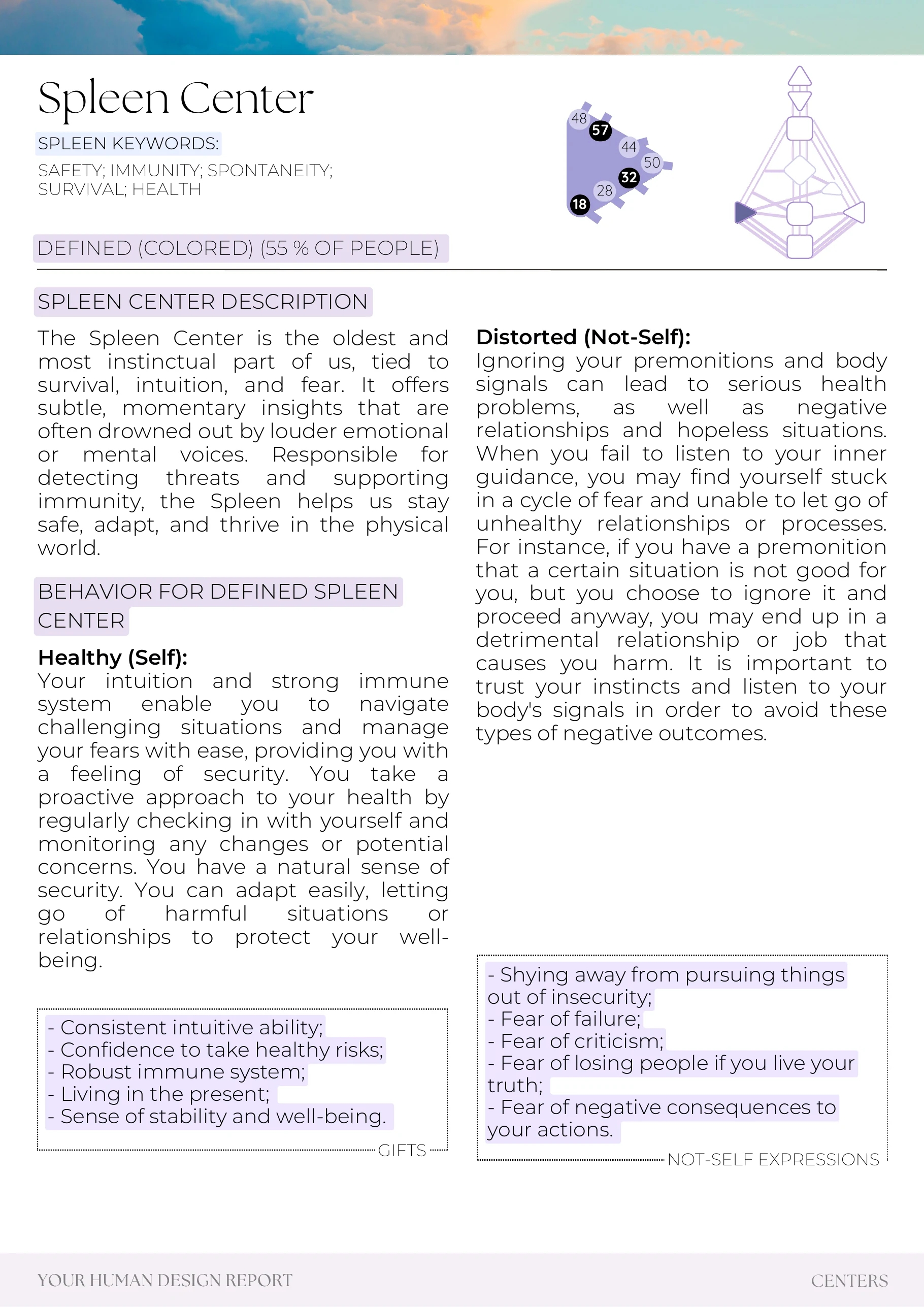 Example report page 42