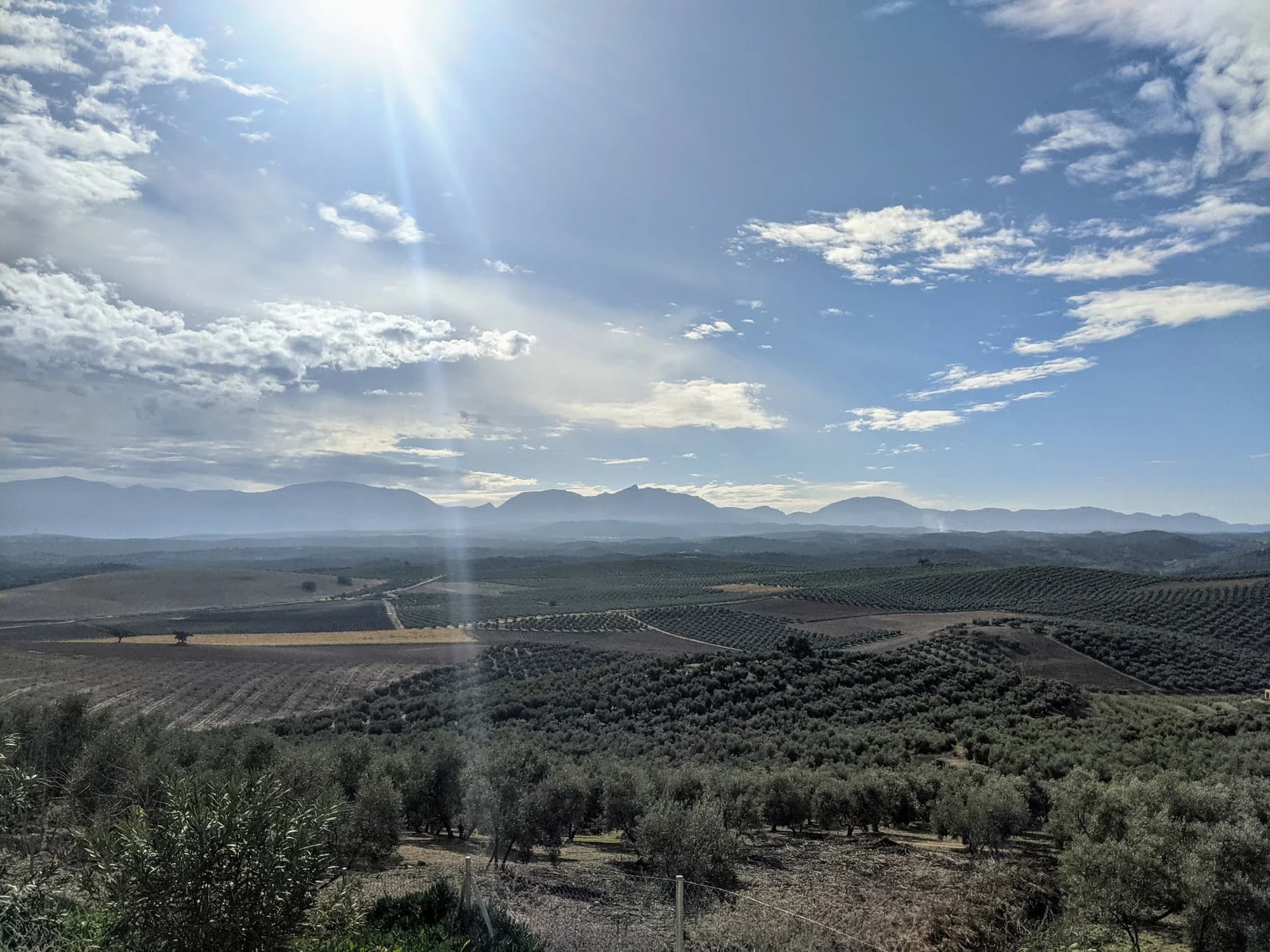 Panoramic olive groves and mountain ridges beneath a bright cloud-streaked sky