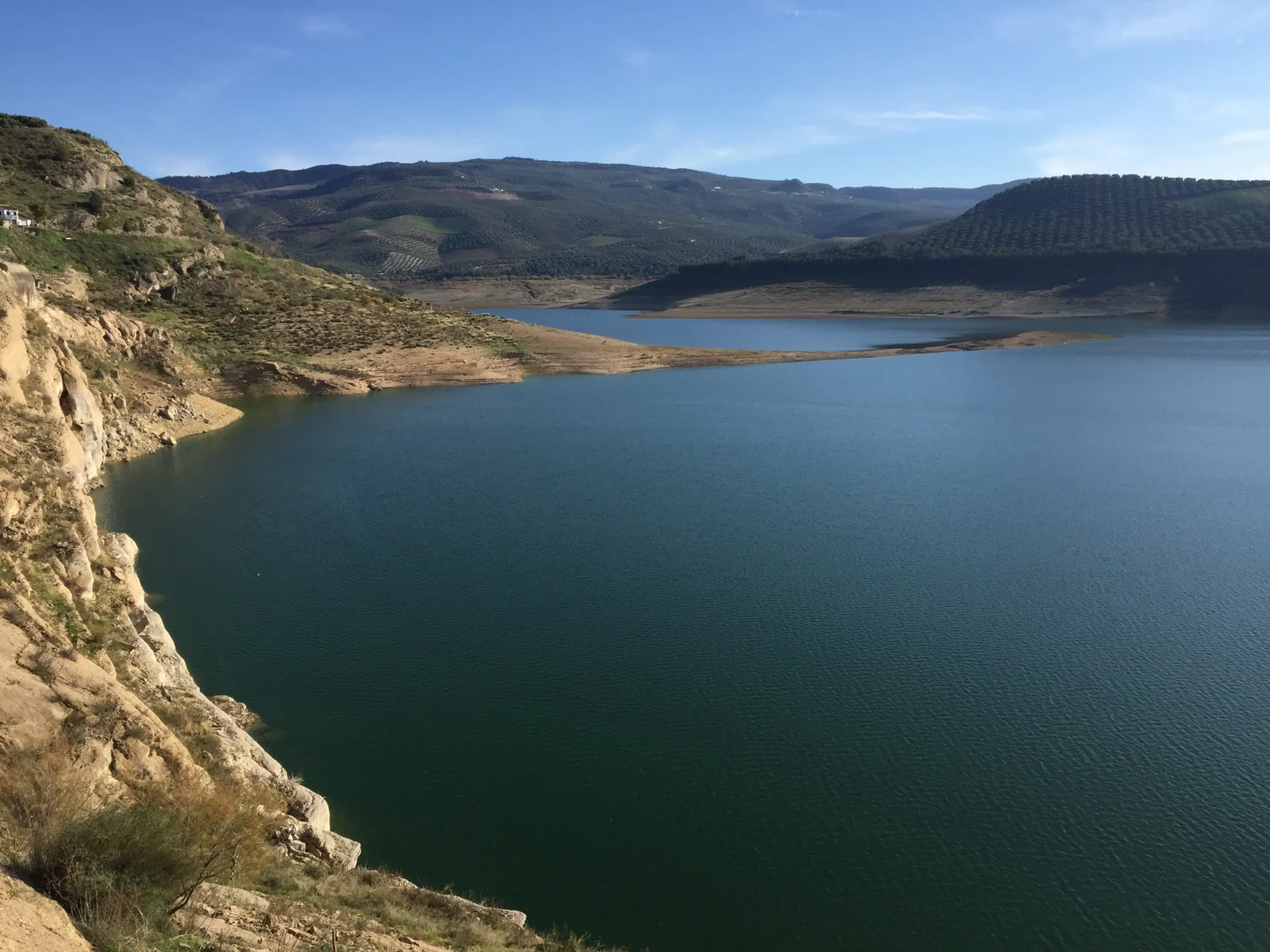 Quiet blue reservoir surrounded by rocky banks and olive-covered hills