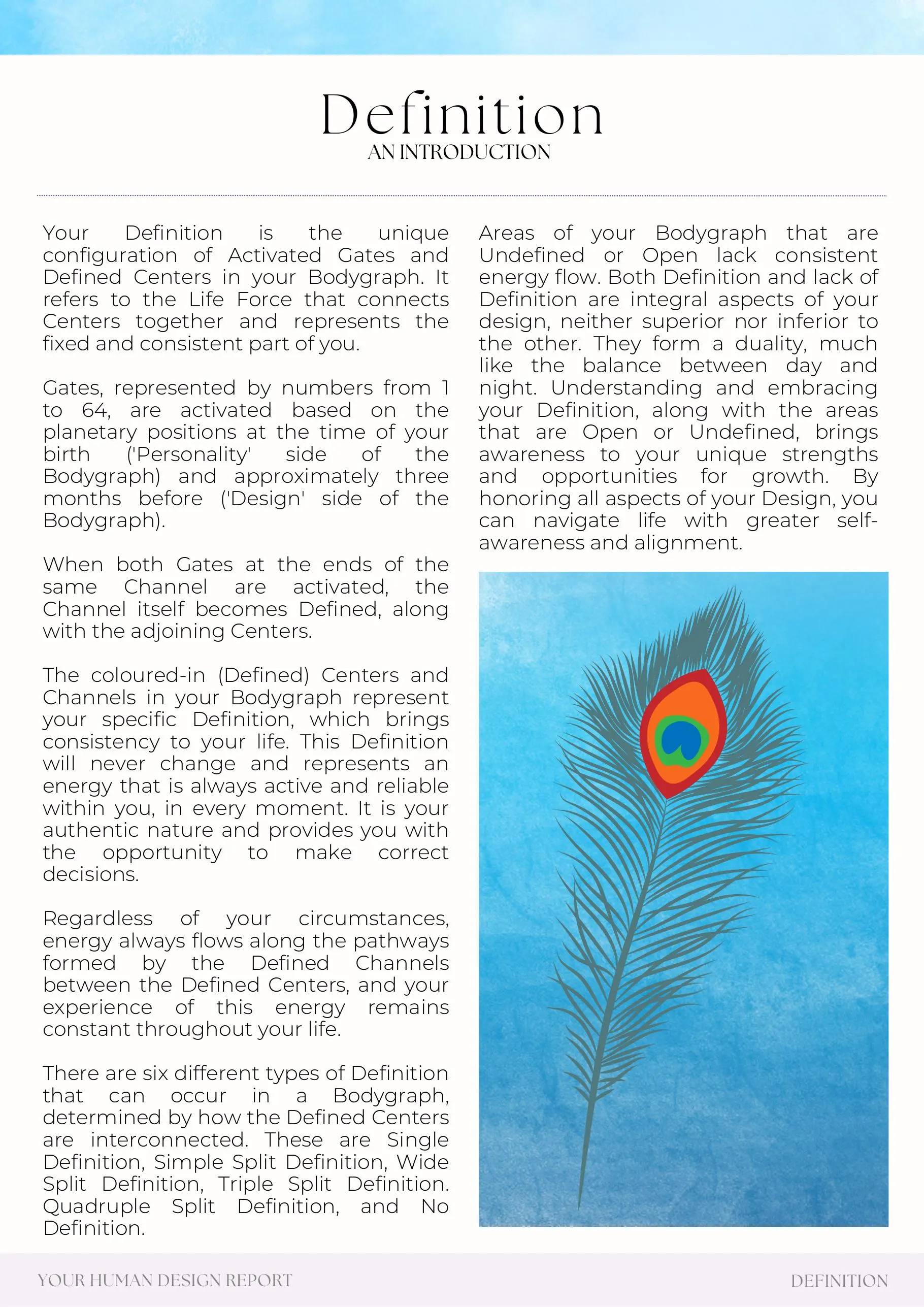 Example report page 52